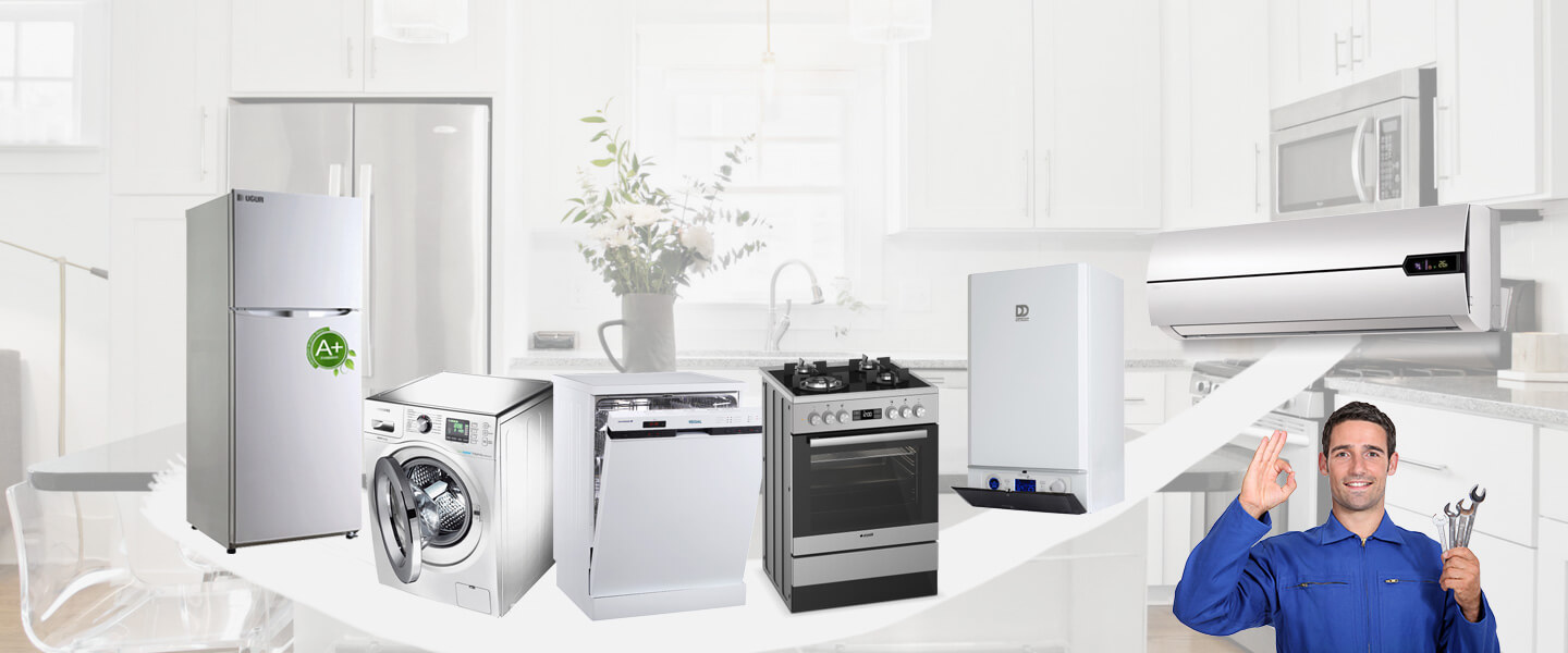 Develi Smeg Servisi